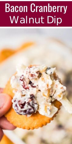 bacon cranberry walnut dip on a cracker