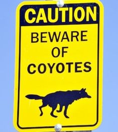 a yellow sign that says caution beware of coyotes