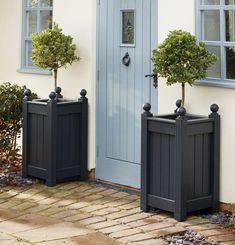 two potted trees in front of a blue door