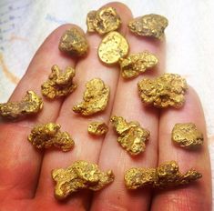 Gold Mining Equipment, Natural Gold Nugget, Gold Panning, Gold Hill, Panning For Gold, Gold Miners, Gold Prospecting