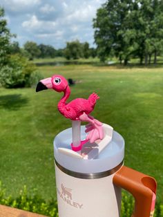 a pink flamingo toy sitting on top of a cup next to a green field