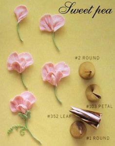 the instructions for how to make sweet pea flowers