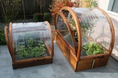 two wooden greenhouses with plants growing in them