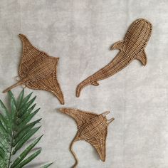 two rattan fish wall hangings next to a plant