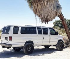 a white van parked under a palm tree