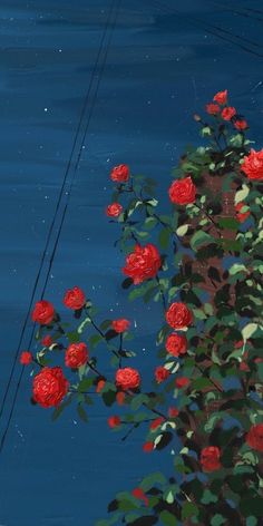 red roses are growing on the side of a building in front of blue water and power lines