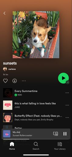 a dog sitting on top of a bench next to flowers and plants with the caption'every summertime, this is what falling in love feels like butterfly effect? nobody likes you