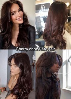 Cherry Chocolate Hair, Cherry Chocolate, Chocolate Hair, Caramel Highlights, Hair Color Ideas For Brunettes, Honey Brown, Hair Color Ideas, Brunettes, Four Seasons