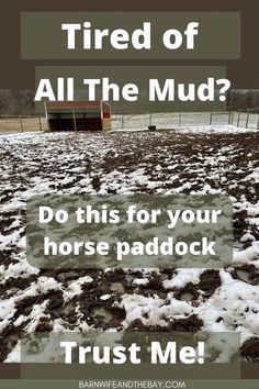 Read this article for everything you need to know about horse paddock mud control! Horse paddock footing and horse mud management are some of the major things that can keep horse owners and horse farm owners up at night. Horse ownership just got a bit easier! Great horse care tips in here, for your equestrian lifestyle! Horse Water Trough Ideas, Diy Horse Run In Shelter, Horse Ideas Stables, Horse Farm Hacks, Diy Horse Arena Cheap, Horse Track System Ideas, Horse Boarding Business, Horse Pasture Shelter, Horse Paddock Ideas