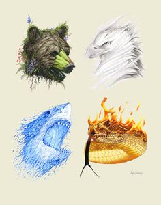 four different colored drawings of animals and their faces on a white background, including an eagle, wolf, snake, and fire