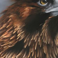 a close up photo of a bird's head with brown feathers and yellow eyes