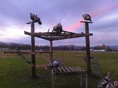 several birds perched on top of wooden posts in the middle of an open field at sunset