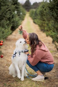 a woman kneeling down next to a white dog on a leash and holding a christmas tree in it's mouth