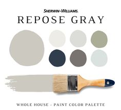 a paint brush with the words, sherylin williams's rainwashed whole house - paint color palette