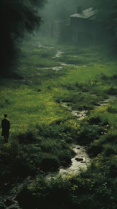 a man standing in the middle of a lush green field next to a stream and forest