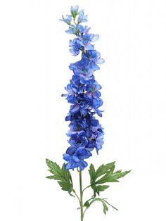 Blue Bonnet Flower, Delphinium Blue, Artificial Hanging Baskets, Plant Party, Blue Bonnet, Blue Delphinium, Flower Line Drawings, Artificial Potted Plants