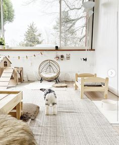 a dog standing in the middle of a living room