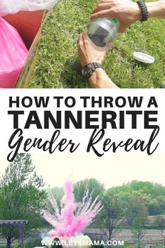 how to throw a tanier reveal at an outdoor party with text overlay that reads, how to throw a tanier reveal