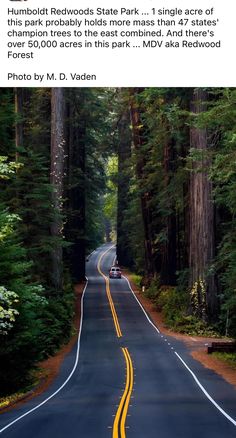 a car driving down a road in the middle of a forest with trees on both sides