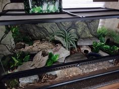 40 gallon front opening terrarium design 40 Gallon Leopard Gecko Tank, 20 Gallon Leopard Gecko Tank Ideas, Bio Active Leopard Gecko Tank, Leopard Gecko Enclosure Ideas, Leopard Gecko Terrarium Ideas, Gecko Setup, Leopard Gecko Cage, Leopard Gecko Setup, Gecko Cage