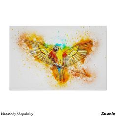 a painting of a colorful bird with wings spread out on a white background in a black frame