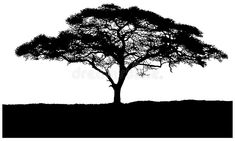 a black and white silhouette of a tree