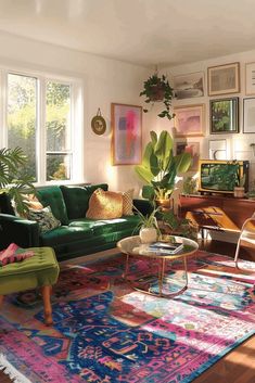 a living room filled with furniture and lots of plants on top of a colorful rug