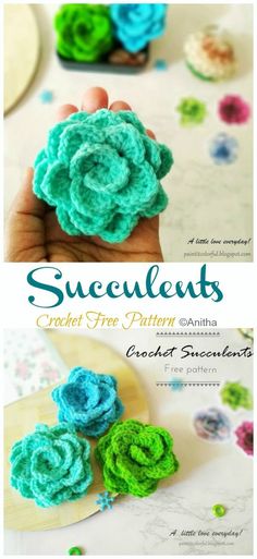 crochet flower applique pattern with instructions to make it