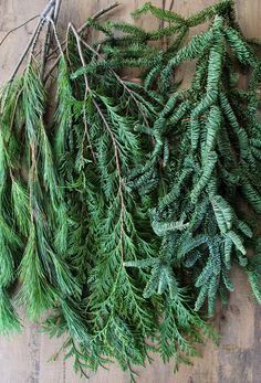 several evergreen branches on a wooden surface