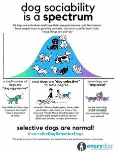 a poster with dogs in different stages of their life cycle and the words, dog sociality is a spectrum