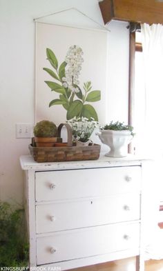 a white dresser with flowers and plants on top