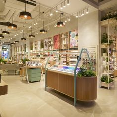 the inside of a store with lots of plants and lights hanging from it's ceiling