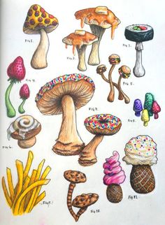 a drawing of different types of mushrooms