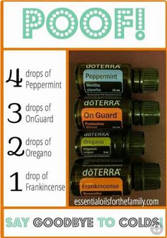 Oregano Benefits, Terra Essential Oils, Doterra Oils Recipes, Doterra Essential Oils Recipes, Oil Remedies, Essential Oils Health