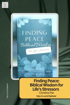 a book with the title finding peace biblical vision for life's stressors