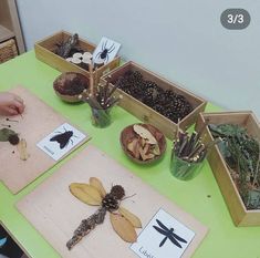 a green table topped with lots of different types of plants and bugs in wooden trays