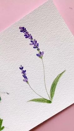 watercolor painting of lavender flowers on white paper with green leaves and pink background, closeup