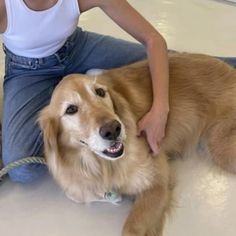 a woman sitting on the floor petting a large brown dog with a rope around it's neck