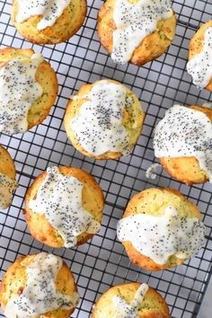 poppy seed and cheese muffins cooling on a wire rack with white icing