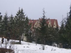 a house in the snow surrounded by pine trees and other evergreens on a cloudy day