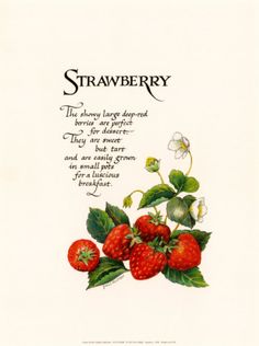 a drawing of strawberries with leaves and flowers on it's back side, the words strawberry are written in cursive writing