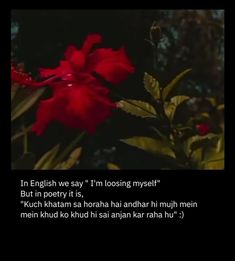 a red flower sitting on top of a lush green forest next to a poem written in english