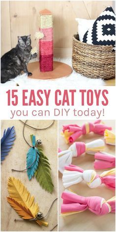 cat toys that are easy to make and great for the little ones in your life