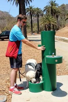 a man and two dogs drinking water from a fountain