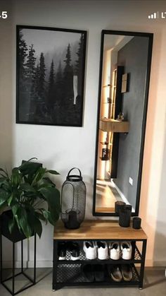 a room with a mirror, potted plant and other items on the floor in front of it