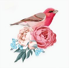 a pink bird sitting on top of a bouquet of flowers