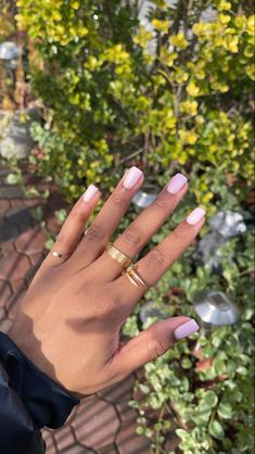 Natural Nail Designs Gel Classy, Gel Nail Designs Real Nails, Dark Skin Nails Color, Square Clean Girl Nails, Clean Nails Square, Cute Manicure Ideas For Natural Nails, Short Clean Nails Spring, Short Nail Art Designs Classy, Cute Short Nails Fall