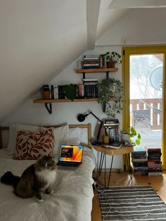 a cat sitting on top of a bed next to a desk with a laptop computer