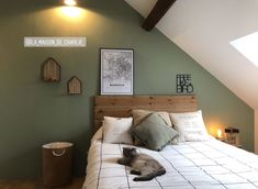 a cat laying on top of a bed in a room with green walls and wooden beams