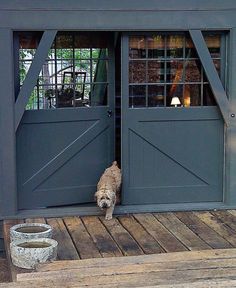 a dog is standing in the doorway of a building with two doors open to let in light